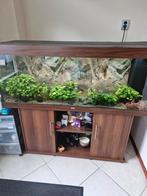 Aquarium, Dieren en Toebehoren, Ophalen, Leeg aquarium