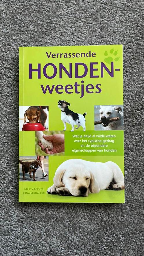 Verassende hondenweetjes, Boeken, Dieren en Huisdieren, Zo goed als nieuw, Honden, Ophalen of Verzenden