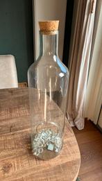 Terrarium Vaas Glas, Ophalen, Overige kleuren, 50 tot 75 cm, Glas