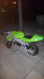 Pocket bike 65cc 2t, Fietsen en Brommers, Minibikes, Midibikes en Pitbikes, Ophalen, Gebruikt, 65 cc, Pitbike