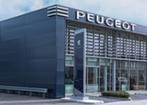 Peugeot reclame lichtbak letters chroom zeer mooi, Verzamelen, Gebruikt, Ophalen, Lichtbak of (neon) lamp