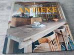 Bert De Pau - Stijlvol wonen antieke bouwmaterialen, Gelezen, Bert De Pau, Ophalen of Verzenden, Interieur en Design
