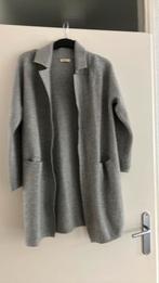 Heel mooi grijs vest maat S/M, Ophalen of Verzenden, Zo goed als nieuw, Maat 38/40 (M), Grijs