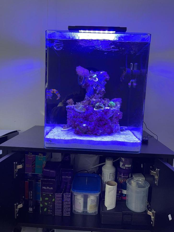 Zeeaquarium met meubel en alle toebehoren, Dieren en Toebehoren, Vissen | Aquaria en Toebehoren, Nieuw, Gevuld zeewateraquarium