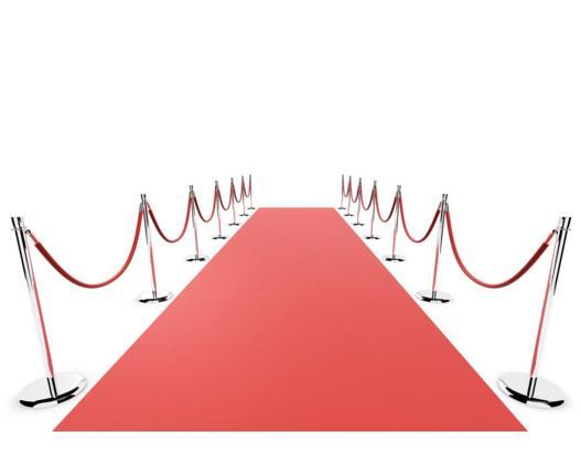 Rode loper te huur! Afzetpaaltjes / Afzetkoorden, Hobby en Vrije tijd, Feestartikelen | Verhuur, Zo goed als nieuw, Overige, Ophalen of Verzenden