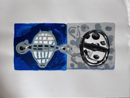 Piet Warffemius zeefdruk, Antiek en Kunst, Kunst | Litho's en Zeefdrukken, Ophalen