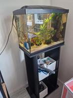 Aquarium met garnalen & toebehoren, Dieren en Toebehoren, Vissen | Aquaria en Toebehoren, Ophalen, Gebruikt, Gevuld zoetwateraquarium