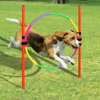 Huisdier Behendigheid Training - agility honden, Ophalen of Verzenden, Nieuw