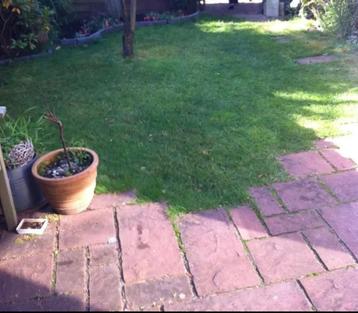 Tuintegels terracotta wildverband beschikbaar voor biedingen