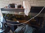400 liter aquarium (MOET WEG)!!!!!, Dieren en Toebehoren, Vissen | Aquaria en Toebehoren, Ophalen, Leeg aquarium