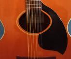 Zeldzame Epiphone NO-245 Norlin Japan, Muziek en Instrumenten, Ophalen, Zo goed als nieuw, Western- of Steelstringgitaar