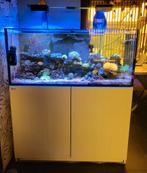 Zeeaquarium Red Sea reefer 350 G2, Dieren en Toebehoren, Vissen | Aquaria en Toebehoren, Ophalen, Gevuld zeewateraquarium