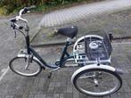 Van Raam maxi driewiel fiets voor volwassenen, Fietsen en Brommers, Fietsen | Dames | Damesfietsen, Versnellingen, 56 cm of meer