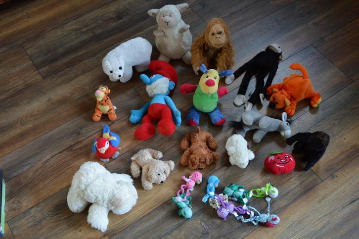 Verscheidene knuffels en twee kussens, Kinderen en Baby's, Speelgoed | Knuffels en Pluche, Gebruikt, Overige typen, Ophalen of Verzenden