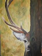 Dam hert kijkt nieuwsgierig achter boom, canvas 60x80, Ophalen of Verzenden
