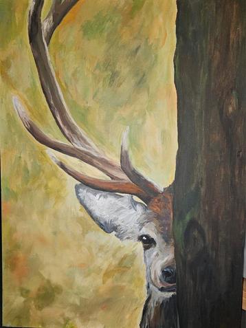 Dam hert kijkt nieuwsgierig achter boom, canvas 60x80 beschikbaar voor biedingen