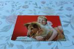 Honden Postkaart - Meisje met jonge Schotse Collie, France, Verzenden, 1960 tot 1980, Ongelopen, Hond of Kat