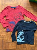 2 long sleeves dino paw patrol, Ophalen of Verzenden, Zo goed als nieuw, Jongen, Shirt of Longsleeve