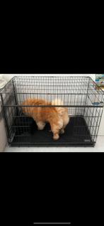 Honden bench, Dieren en Toebehoren, Hondenbenches, Ophalen of Verzenden, Zo goed als nieuw