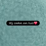 wij zoeken een huurhuis, Huizen en Kamers, Op zoek naar een huis