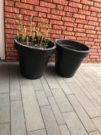 Gratis af te halen: 2 plantenbakken, Kunststof, Gebruikt, Minder dan 60 cm, Rond