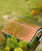 Gebruikte Dakpannen Gebr. Teeuwen Tegelen, Doe-het-zelf en Verbouw, Dakpannen en Dakbedekking, Ophalen, Gebruikt, Steen of Klei
