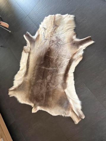 Rendiervel  beschikbaar voor biedingen