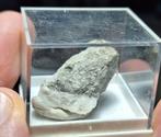 TACHARANIET, JAPAN, Ophalen of Verzenden, Mineraal