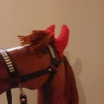 Handgemaakte Hobbyhorse!, Dieren en Toebehoren, Ophalen of Verzenden, Zo goed als nieuw