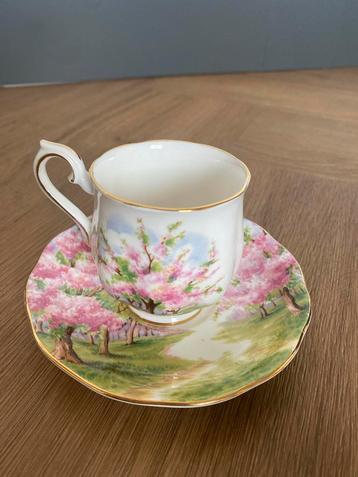 Royal Albert Blossom Time Kop en Schotel beschikbaar voor biedingen