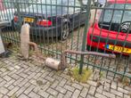 Audi a3 1.9 uitlaat, Ophalen of Verzenden, Gebruikt, Overige automerken