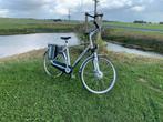 Giant E-bike met 2 accu's, Fietsen en Brommers, Elektrische fietsen, Ophalen, Gebruikt, Giant, 51 tot 55 cm