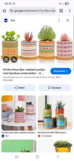 GEZOCHT soortgelijke plantenpot, Ophalen, Overige soorten, Minder dan 100 cm
