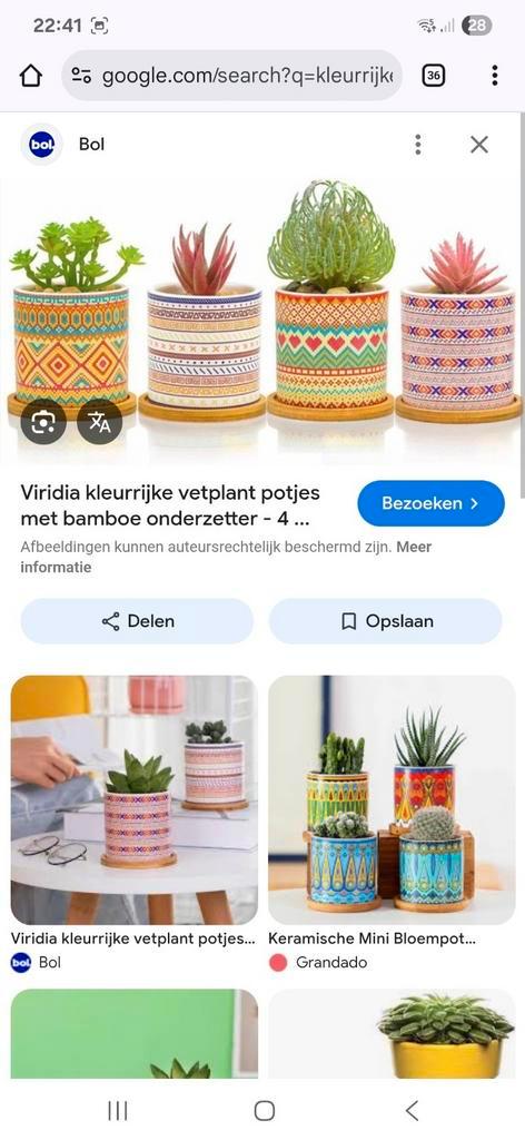 GEZOCHT soortgelijke plantenpot, Huis en Inrichting, Kamerplanten, Overige soorten, Minder dan 100 cm, Ophalen