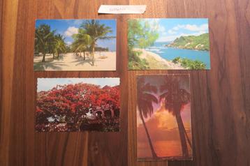 4 Ansichtkaarten Barbados karen 1960-1970 beschikbaar voor biedingen