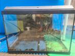 Juwel Aquarium primolux 60 60x30x40, Ophalen, Gebruikt, Leeg aquarium