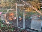 Kippenren kippenhok compleet, Dieren en Toebehoren, Ophalen, Zo goed als nieuw, Kippenhok of Kippenren