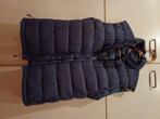 Nomad bodywarmer dames maat m, Maat 38/40 (M), Blauw, Nomad, Nieuw