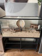 Hamsterkooi (incl kastje en toebehorende), Dieren en Toebehoren, Knaagdieren en Konijnen | Hokken en Kooien, Kooi, Zo goed als nieuw