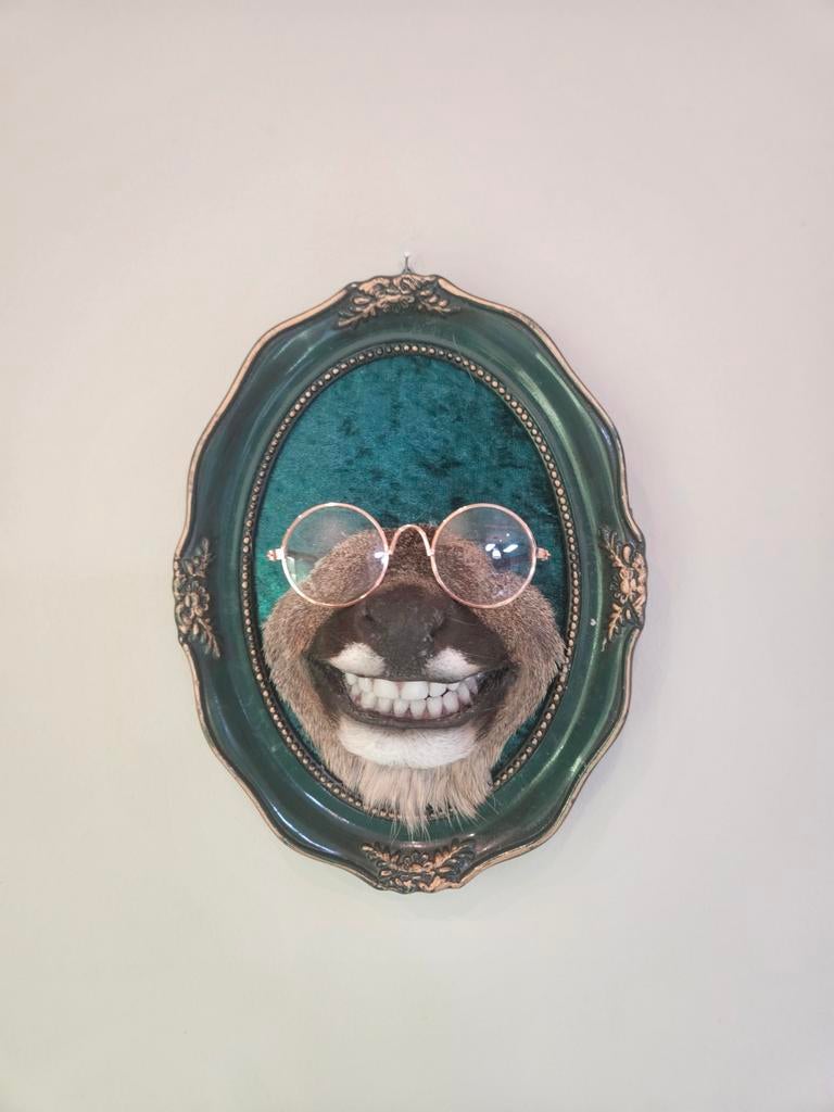 Unieke Taxidermie Wanddecoratie, Ophalen of Verzenden, Nieuw, Hert, Opgezet dier