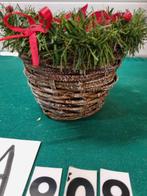 mandje met kerstroos rood [a909], Diversen, Kerst, Ophalen of Verzenden