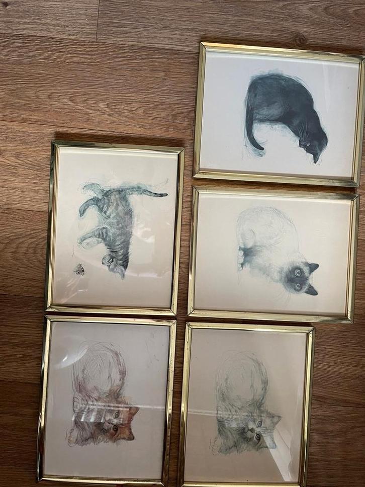 Artistieke set kattenschilderijen, Antiek en Kunst, Kunst | Tekeningen en Foto's, Ophalen of Verzenden