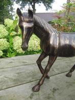 PAARD / BRONZEN BEELD / 23 CM HOOG, Nieuw, Paard, Ophalen of Verzenden, Beeldje of Figuurtje