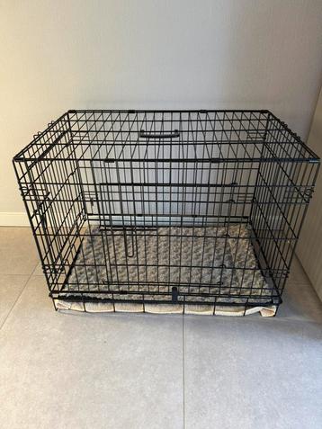 Puppy starterspakket beschikbaar voor biedingen