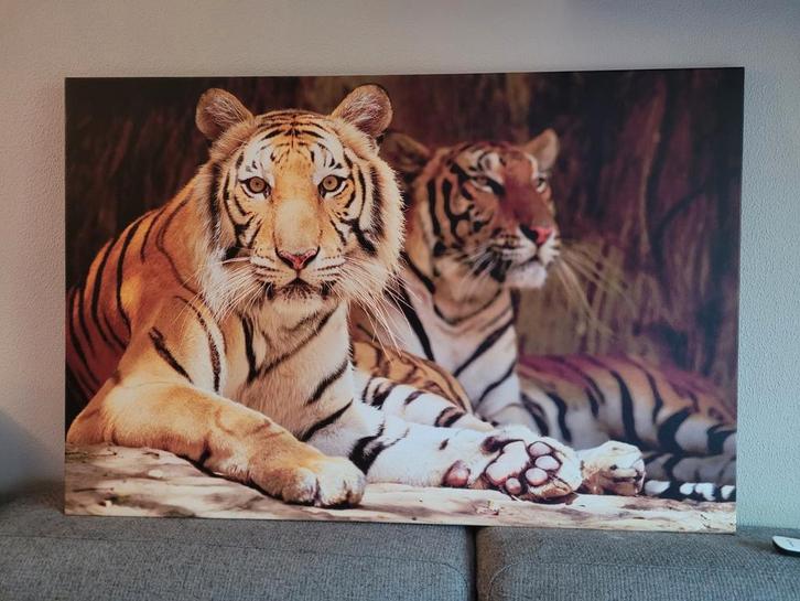 Schilderij Tijgers 120x80cm, Huis en Inrichting, Woonaccessoires | Schilderijen, Tekeningen en Foto's, Ophalen