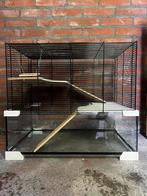 Hamsterkooi, Dieren en Toebehoren, Knaagdieren en Konijnen | Hokken en Kooien, Minder dan 60 cm, Kooi, Minder dan 75 cm, Ophalen of Verzenden