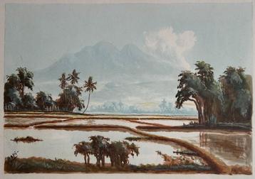 Olieverf schilderij Indonesië - Abas beschikbaar voor biedingen