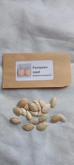Pompoenzaad - Eetbare Pompoenen, Ophalen of Verzenden