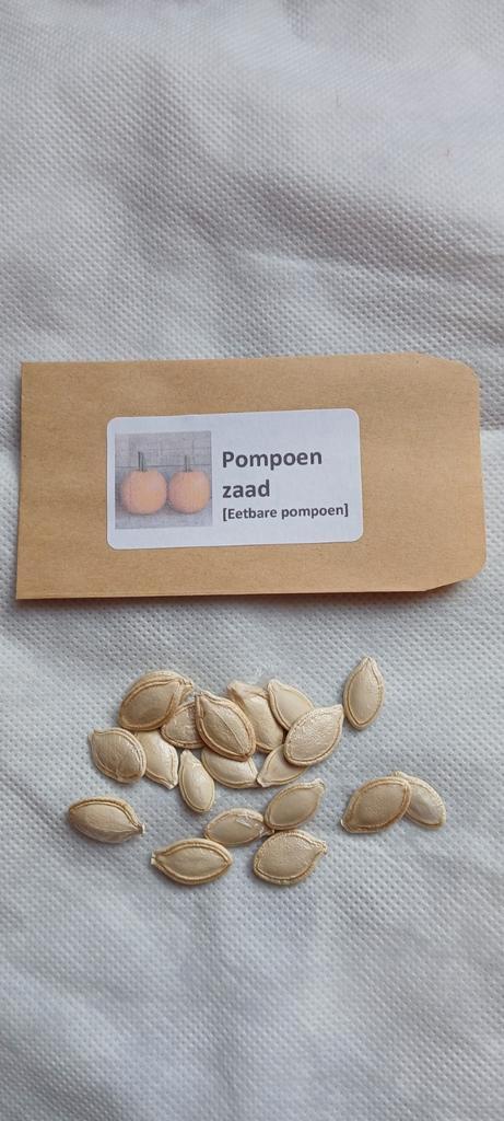 Pompoenzaad - Eetbare Pompoenen, Tuin en Terras, Bloembollen en Zaden, Ophalen of Verzenden