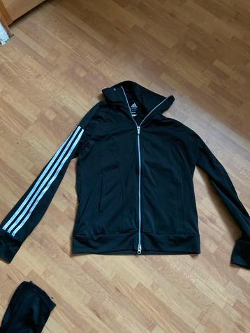 Adidas Sportvest Maat 38 beschikbaar voor biedingen